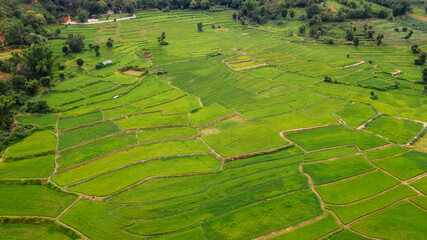 Terraced rice fields, Na Haeo District, Loei Province, Thailand