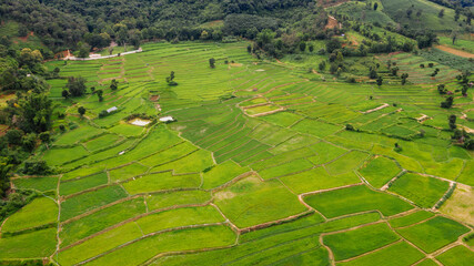 Terraced rice fields, Na Haeo District, Loei Province, Thailand