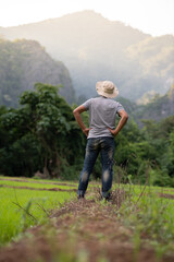 Fototapeta premium Tourists appreciate the beauty of Phu Lanka, Pong District, Phayao Province, Thailand.