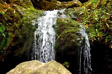 The peaceful flow of a Tennessee waterfall