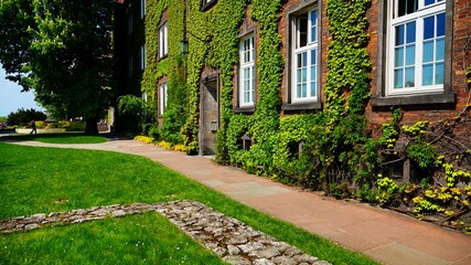 Greenery architecture - ornamental plants and creepers, decorating space and buildings