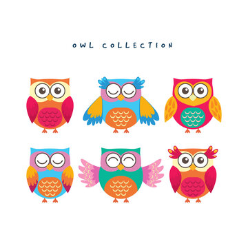 Funny Owl Collection