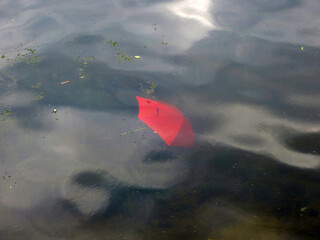 red umbrella drowned in a pond with reflections of clouds