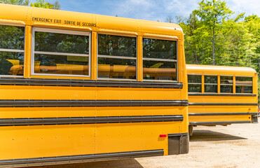 Parked pair of school busses landscape