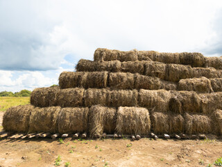 Close - up of hay rolls stacked in the form of a pyramid, after harvesting.