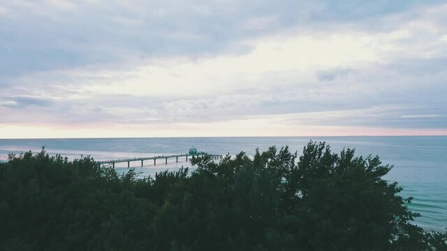 Drone rises behind trees and shows beach with pier during sunset.