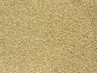 Beige color raw whole dried Brown top millet