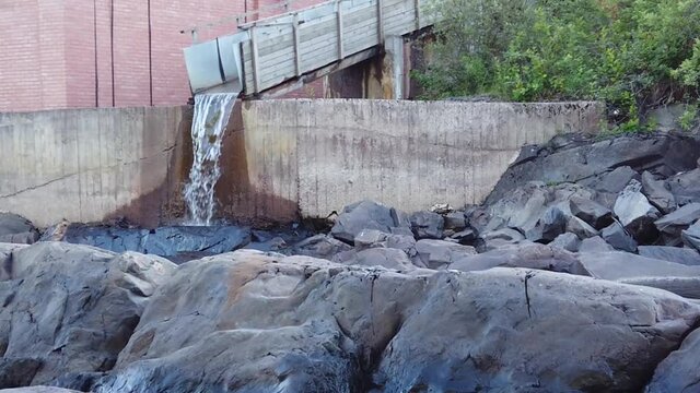 Rocky stream. creek flows among the rocks. water flowing between the stones. flying bird. slow motion
