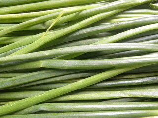 Green color raw whole fresh Scallion leaves