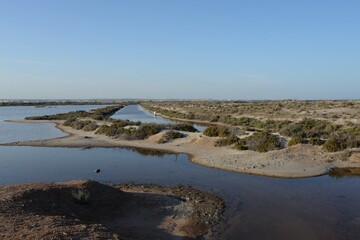 Fototapeta na wymiar Swampy area of Salinas y Arenales de San Pedro del Pinatar. Spain