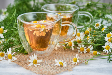 Two glass cups of tea with chamomile, scattered chamomile flowers on a piece of burlap.