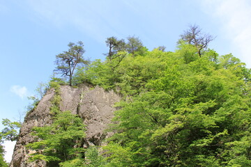 Fototapeta na wymiar 木々が生える岩場