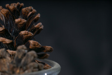 the natural object for relaxation 
