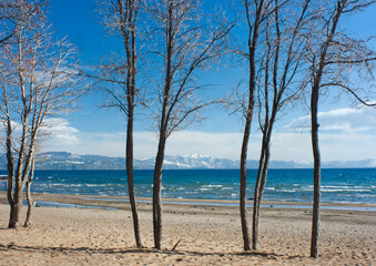 Tahoe City Beach With Trees
