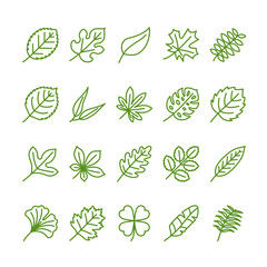 Leaves outline icon set 