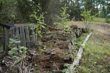 Bosque Verde