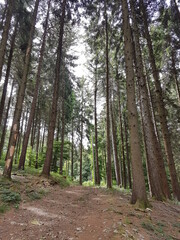 Obraz premium mixed world