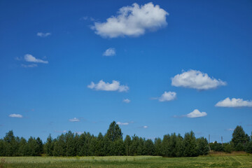 a field of grass and a perfect sky