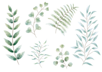 植物の水彩イラストセット