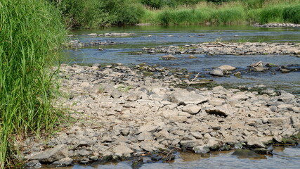 stony river in the forest