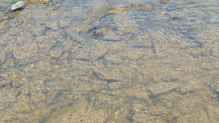 sand and water
