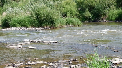 rapid river