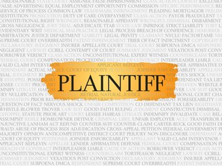 plaintiff - obrazy, fototapety, plakaty