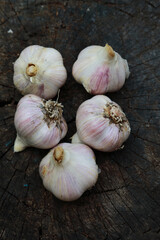 young garlic on a tree hemp