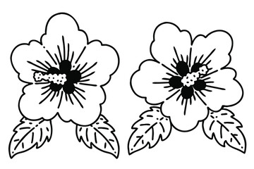Mugunghwa or Rose of Sharon. the national flower of South Korea. Vector line art illustrations set.