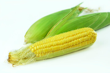 Corn on a white ground.