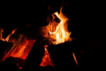 Glowing backyard campfire in a dark setting.