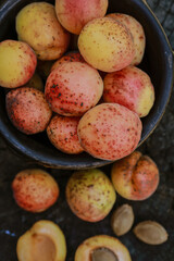 homemade apricots in pottery on hemp