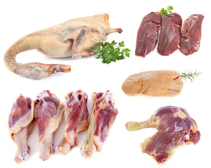 group of duck meat