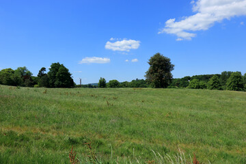 Green pastures and woodland under a blue sky in Westerham
