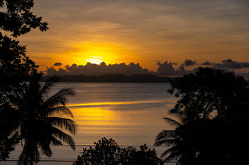 Fototapeta na wymiar Silhouette of Tree and sea view at sunset in Phuket, Thailand