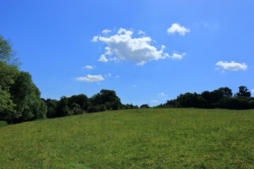 A landscape scene of the hilly fields and woodlands around Westerham