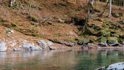 Clean mountain river in the autumn forest.