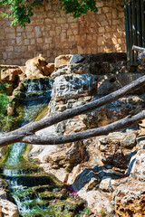 Brown bear sitting on stones by the water