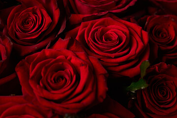 Red roses. Bouquet of flowers.