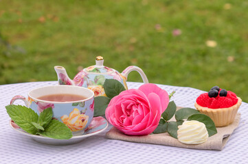 Outdoor tea in the garden with berry dessert and sweet marshmallows.