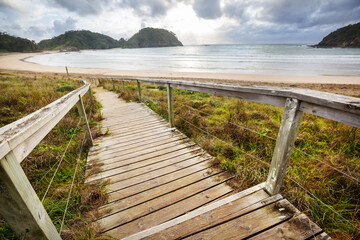 New Zealand coast