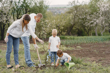 Family on a yard. Family with sons planting a tree.