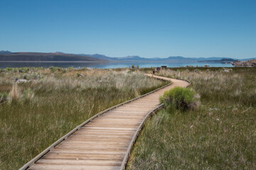 Fototapeta premium mono lake boardwalk landscape