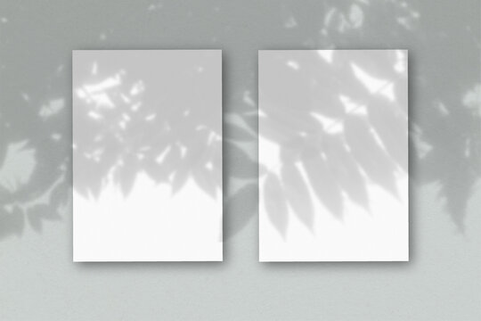2 vertical sheets of textured white paper on soft gray table background. Mockup overlay with the plant shadows. Natural light casts shadows from an exotic plant. Horizontal orientation