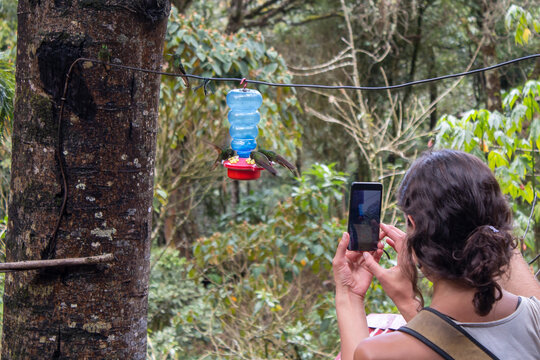 tourist woman taking pictures of hummingbird feeding 