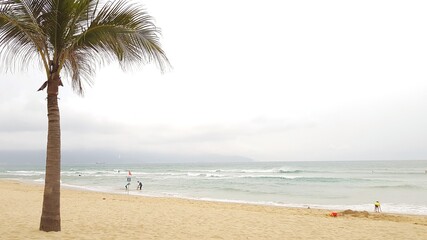 tropical beach with palm trees