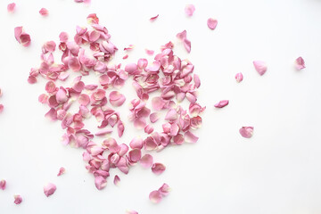 heart rose petals / pink roses, heart-shaped frame petals, love concept