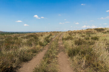 Fototapeta na wymiar Summer steppe landscape. Landscape in kazakhstan. Kazakh steppe. Blue sky. Yellow grass. Panorama. Country road. Hills