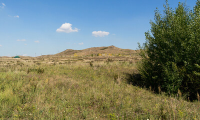 Summer steppe landscape. Landscape in kazakhstan. Kazakh steppe. Blue sky. Yellow grass. Panorama. Forest Steppe. Hills