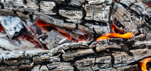 Flames of fire and hot coals of burned wood